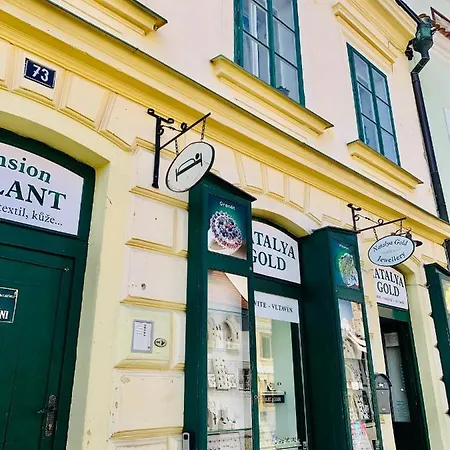 Appartement Loft Natalya Gold à Český Krumlov Extérieur photo